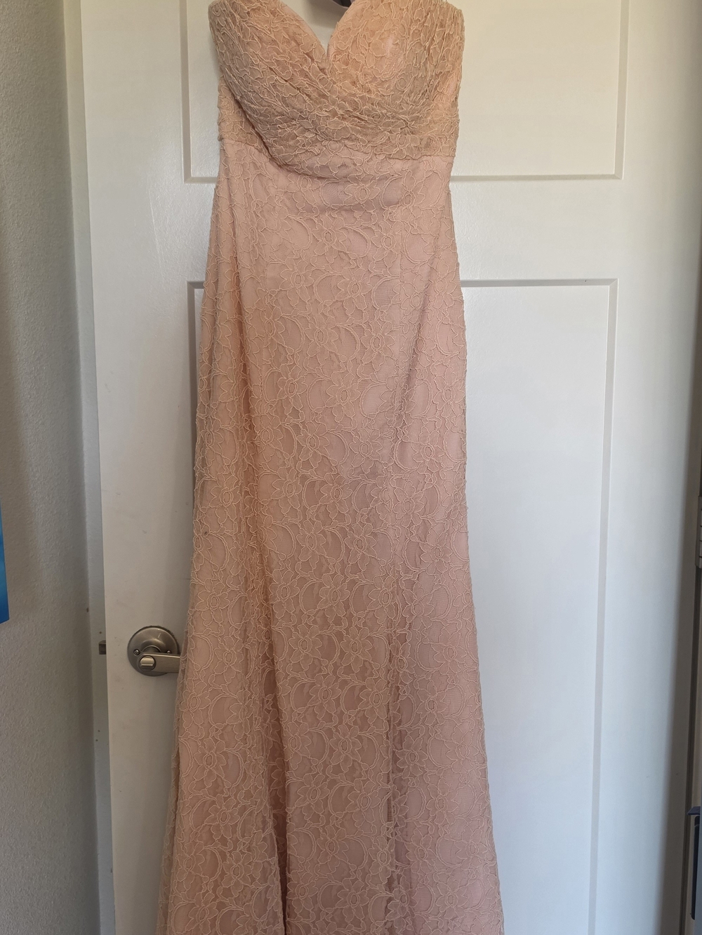 *NEW* Mori Lee Strapless Lace Gown in Blush